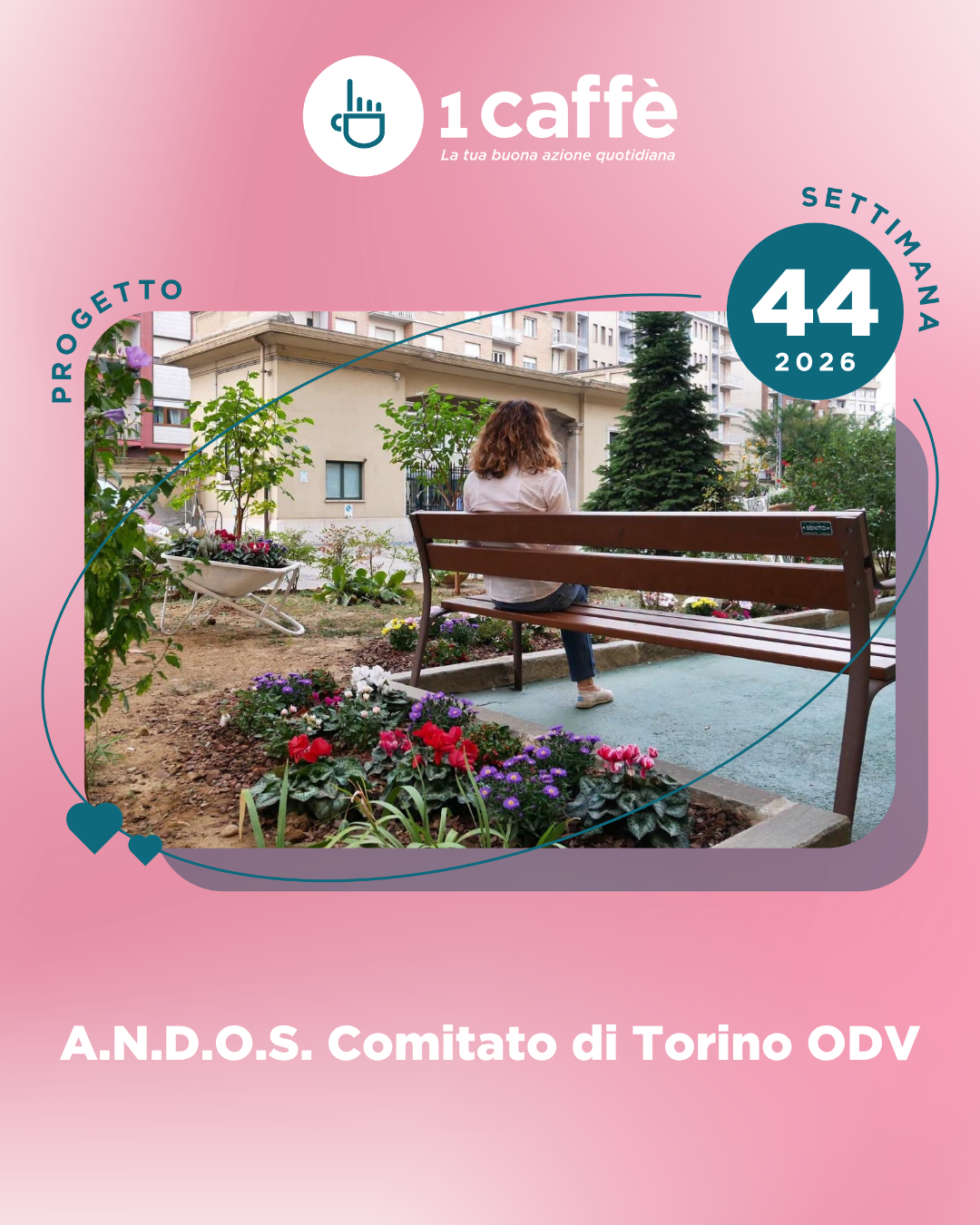 Grafica principale 44-2026